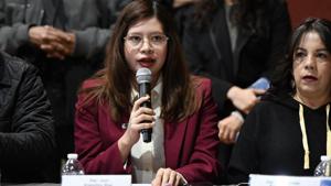 Relacionada dip-jael-arguelles-9-de-feb-1.jpg