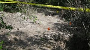 Relacionada screenshot-2026-02-09-202804-1.jpg