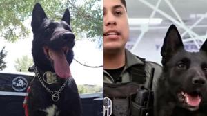 Relacionada principal_vico.jpg