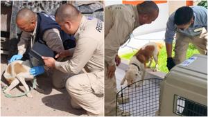 Relacionada fotojet-12.jpg