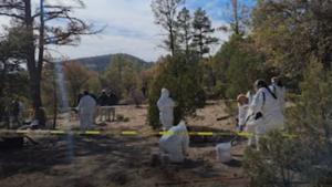 Relacionada screenshot-2026-02-10-203605-1.jpg