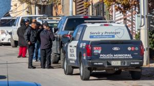 Relacionada inshot_20260211_095322326.jpg