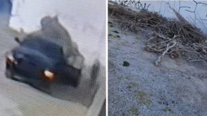 Relacionada 698ca59662ac6__698ca59662ac7.jpg