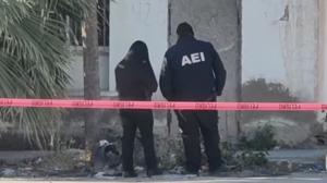 Relacionada captura-de-pantalla-2026-02-11-a-las-103026-am.jpg