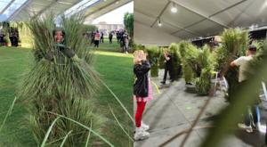 Relacionada arbustos.jpg