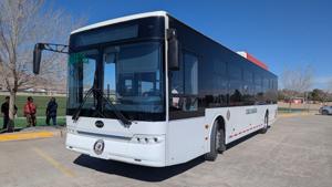 Relacionada pxl_20260210_192153323mp.jpg