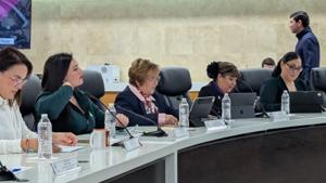 Relacionada pxl_20260211_191938987.jpg