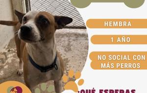 Relacionada whatsapp-image-2026-02-11-at-11135-pm.jpg