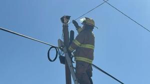 Relacionada whatsapp-image-2026-02-11-at-11803-pm.jpg