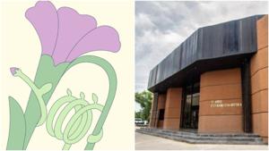 Relacionada fotojet-7.jpg