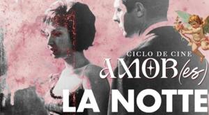 Relacionada descarga-2026-02-12t082328740.jpg