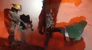 Relacionada download-2026-02-12t090413968.jpg