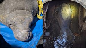 Relacionada fotojet-3.jpg