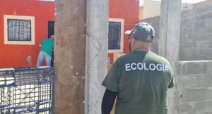 Relacionada whatsapp-image-2026-02-12-at-100517-am.jpg