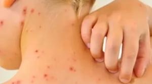 Relacionada descarga-2026-02-12t121003209.jpg