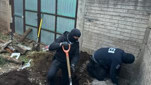 Relacionada inshot_20260212_143356875.jpg