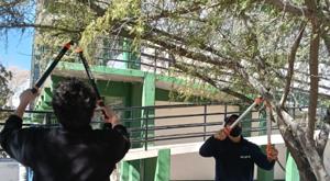 Relacionada descarga-2026-02-12t140029380.jpg