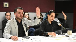 Relacionada 2e2f8ddf-6963-48f4-ba9c-cf92a2c966aa.jpg