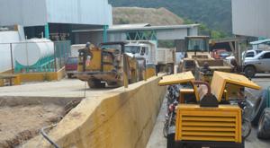 Relacionada vizsla.jpg