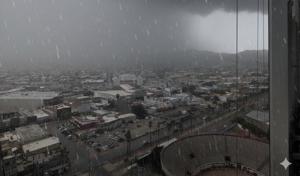 Relacionada whatsapp-image-2026-02-13-at-64746-am.jpg