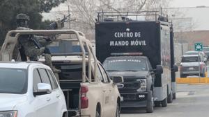 Relacionada pxl_20260213_1603293772.jpg