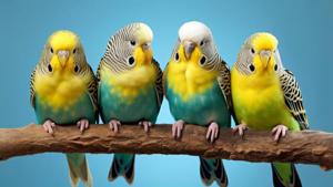 Thumb dcji4hsvmaao5cv