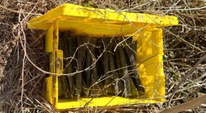 Relacionada explosivos-3.jpg