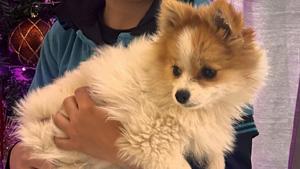 Relacionada whatsapp-image-2026-02-13-at-13851-pm.jpg