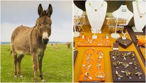 Relacionada 83e60e2d-cf4d-412e-951c-038078770b48.jpg