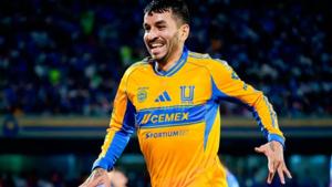 Relacionada screenshot-2026-02-13-194329-1.jpg