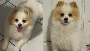 Relacionada fotojet-2.jpg