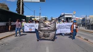 Relacionada inshot_20260214_112421739.jpg