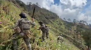 Relacionada marina.jpg