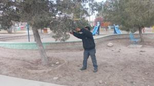 Relacionada parque.jpg