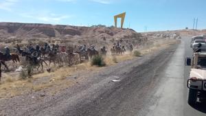 Relacionada image_20260215_125827.jpg