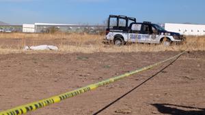 Relacionada inshot_20260216_104835485.jpg