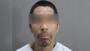 Relacionada inshot_20260216_134048523.jpg