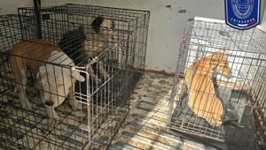 Relacionada whatsapp-image-2026-02-16-at-131534.jpg