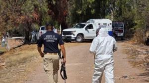 Relacionada screenshot-2026-02-16-184409-1.jpg