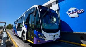 Relacionada bowi.jpg