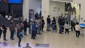 Relacionada pxl_20260217_163424535.jpg