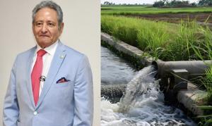 Relacionada kamelathiepozo.jpg