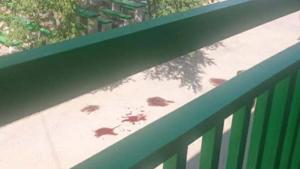 Relacionada principal_charcosangr.jpg