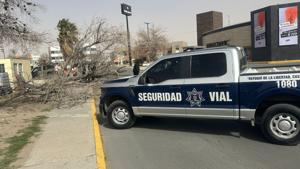 Relacionada whatsapp-image-2026-02-17-at-30115-pm.jpg