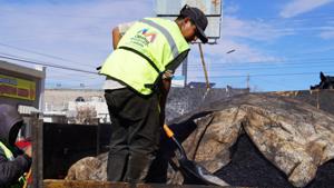 Relacionada img_20260218_075729.jpg