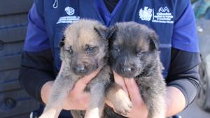 Relacionada 631147814_122157461630843562_988279358033675496_n.jpg