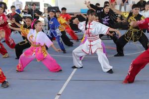 Relacionada kunfu-mpio.jpg