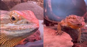 Relacionada descarga-53.jpg