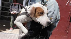 Relacionada principal_screenshot-2025-09-04-150912-1.jpg