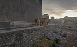 Relacionada whatsapp-image-2026-02-18-at-24809-pm.jpg